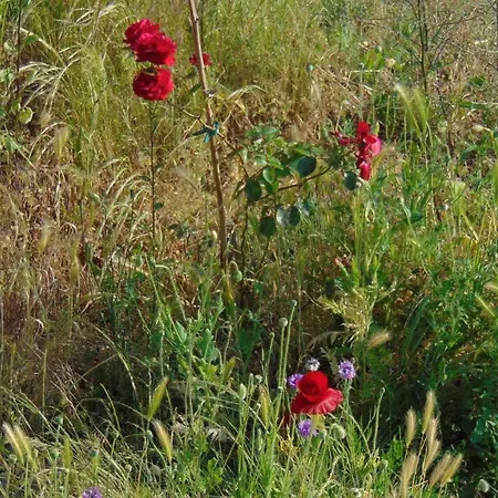 Nocleg ze śniadaniem Les Pommerets Petit-Couronne