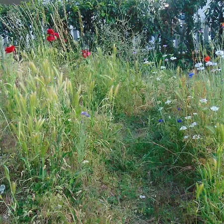 Nocleg ze śniadaniem Les Pommerets